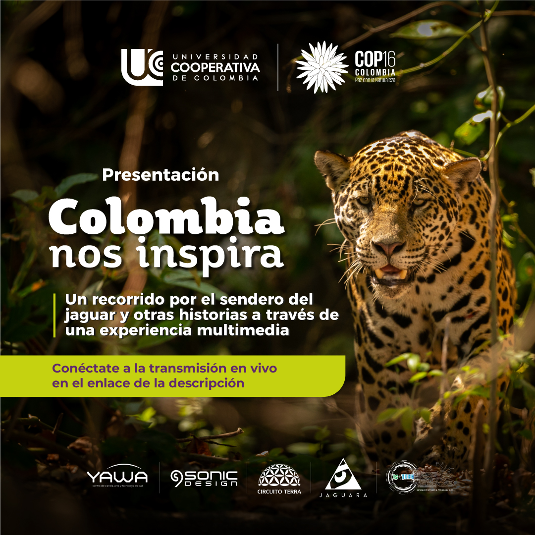 Imagen del evento