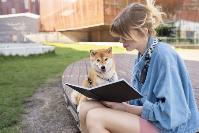 linda-mascota-shiba-inu-familia (2).jpg