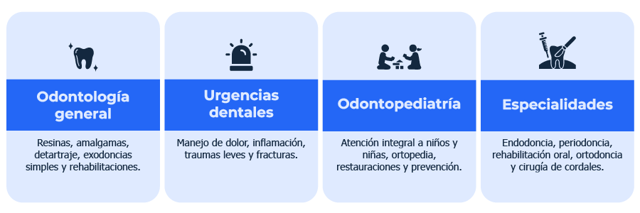 Servicios.png