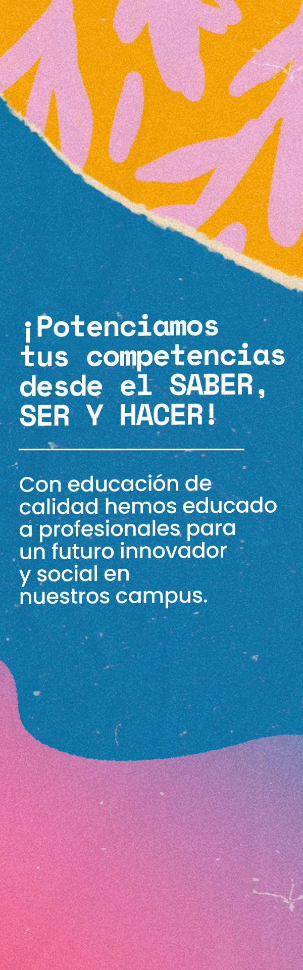 Imagen banner de CAMI - Mobile